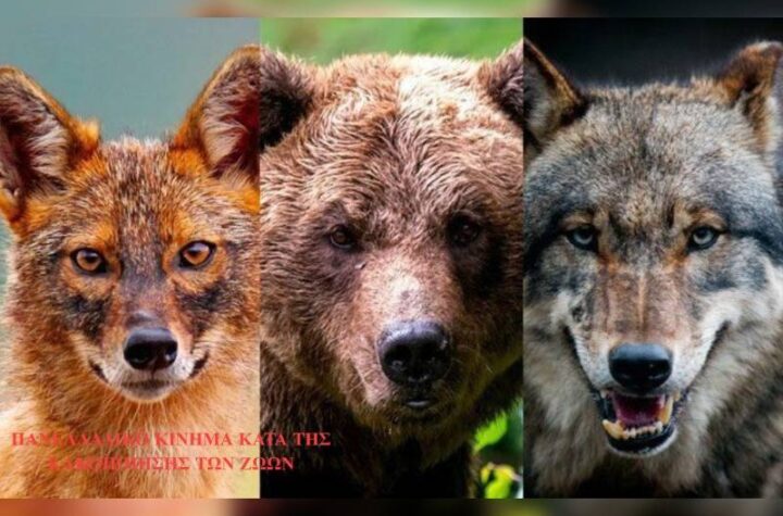 Κακοποίηση ζώων και ακτιβισμός - Η αδέσμευτη φωνή των τετράποδων