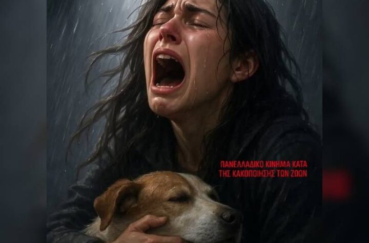 Κακοποίηση ζώων και ακτιβισμός - Η αδέσμευτη φωνή των τετράποδων