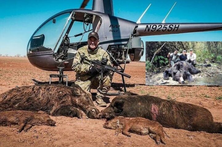 Κακοποίηση ζώων και ακτιβισμός - Η αδέσμευτη φωνή των τετράποδων