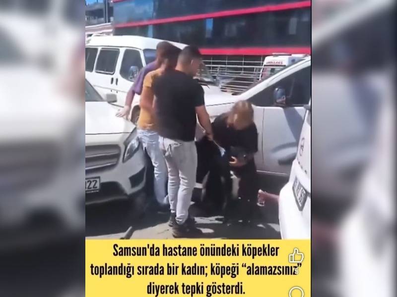 Κακοποίηση ζώων και ακτιβισμός - Η αδέσμευτη φωνή των τετράποδων