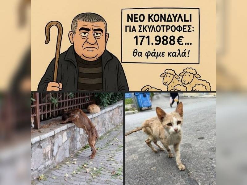 Κακοποίηση ζώων και ακτιβισμός - Η αδέσμευτη φωνή των τετράποδων