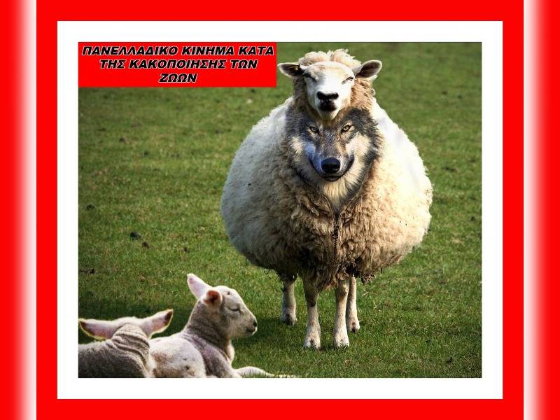 Κακοποίηση ζώων και ακτιβισμός - Η αδέσμευτη φωνή των τετράποδων