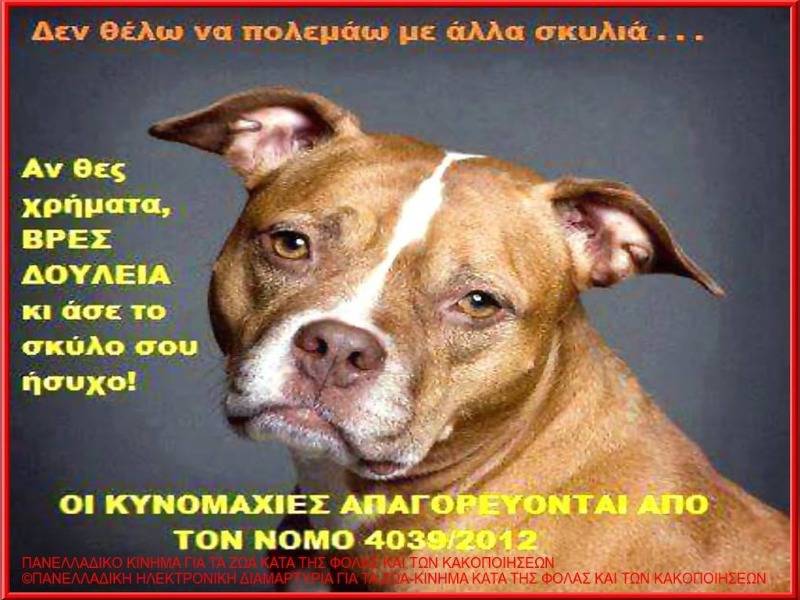 Κακοποίηση ζώων και ακτιβισμός - Η αδέσμευτη φωνή των τετράποδων