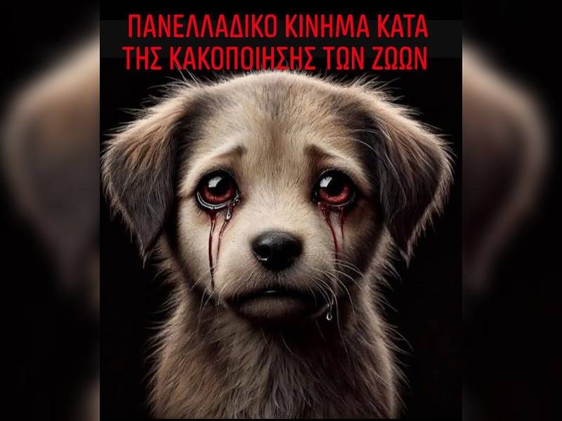 Κακοποίηση ζώων και ακτιβισμός - Η αδέσμευτη φωνή των τετράποδων