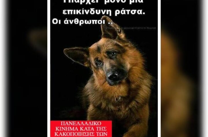 Κακοποίηση ζώων και ακτιβισμός - Η αδέσμευτη φωνή των τετράποδων