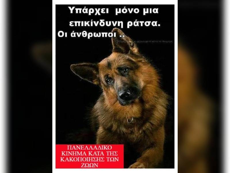 Κακοποίηση ζώων και ακτιβισμός - Η αδέσμευτη φωνή των τετράποδων