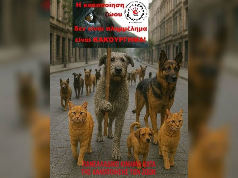Κακοποίηση ζώων και ακτιβισμός - Η αδέσμευτη φωνή των τετράποδων