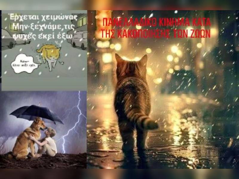 Κακοποίηση ζώων και ακτιβισμός - Η αδέσμευτη φωνή των τετράποδων