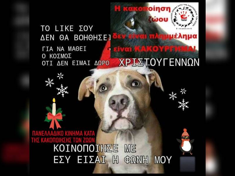 Κακοποίηση ζώων και ακτιβισμός - Η αδέσμευτη φωνή των τετράποδων