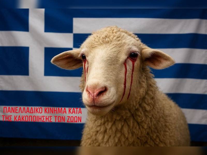 Κακοποίηση ζώων και ακτιβισμός - Η αδέσμευτη φωνή των τετράποδων