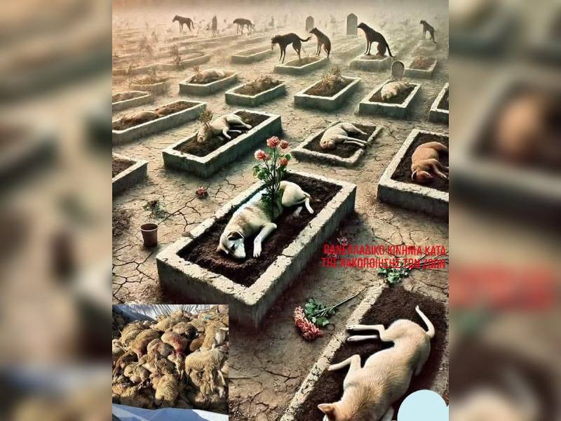 Κακοποίηση ζώων και ακτιβισμός - Η αδέσμευτη φωνή των τετράποδων