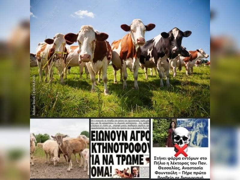 Κακοποίηση ζώων και ακτιβισμός - Η αδέσμευτη φωνή των τετράποδων