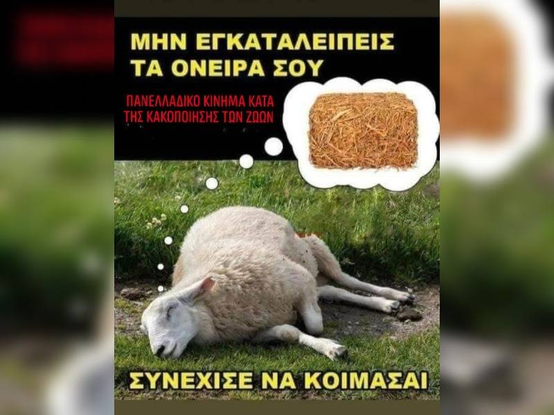 Κακοποίηση ζώων και ακτιβισμός - Η αδέσμευτη φωνή των τετράποδων