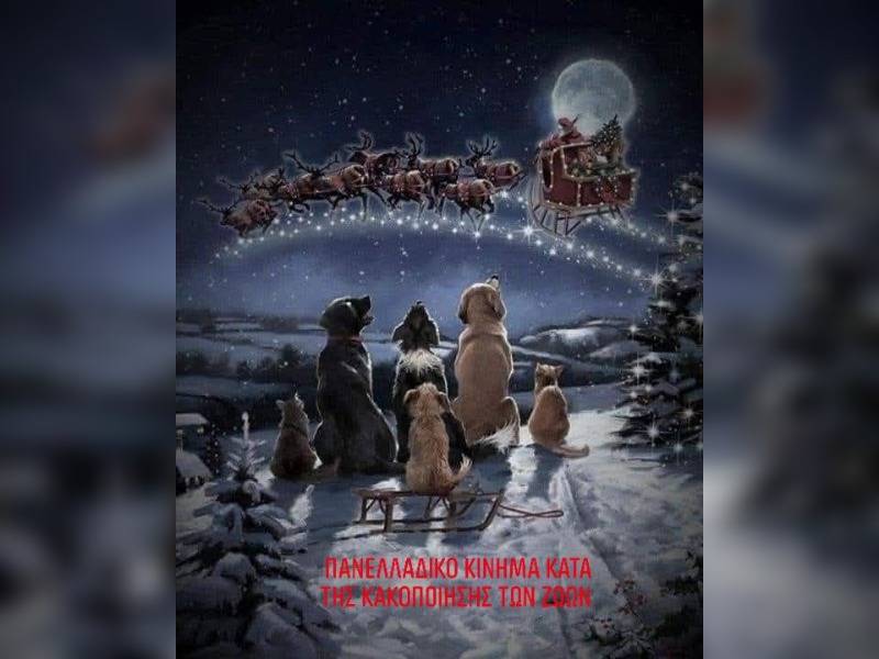 Κακοποίηση ζώων και ακτιβισμός - Η αδέσμευτη φωνή των τετράποδων