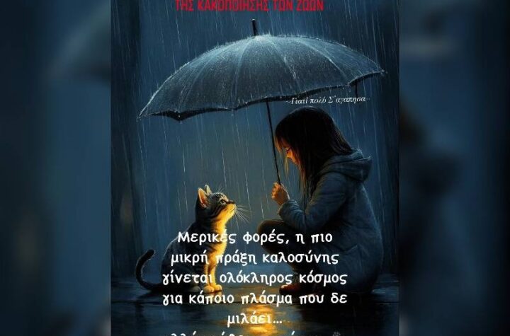 Κακοποίηση ζώων και ακτιβισμός - Η αδέσμευτη φωνή των τετράποδων