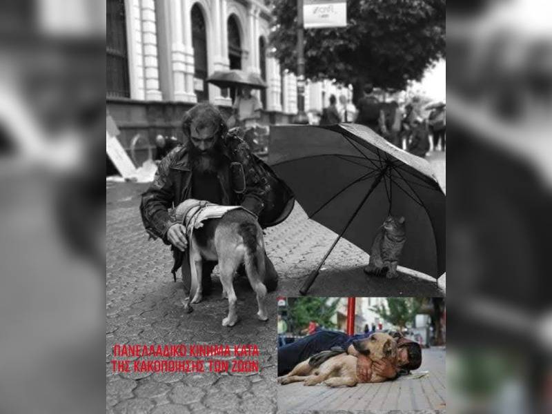 Κακοποίηση ζώων και ακτιβισμός - Η αδέσμευτη φωνή των τετράποδων