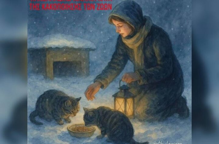 Κακοποίηση ζώων και ακτιβισμός - Η αδέσμευτη φωνή των τετράποδων