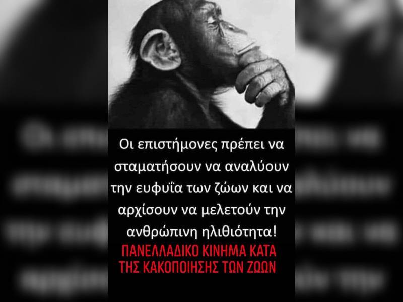 Κακοποίηση ζώων και ακτιβισμός - Η αδέσμευτη φωνή των τετράποδων