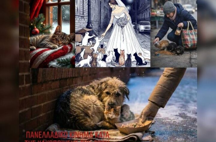 Κακοποίηση ζώων και ακτιβισμός - Η αδέσμευτη φωνή των τετράποδων