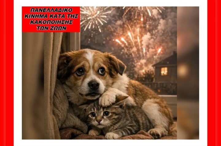 Κακοποίηση ζώων και ακτιβισμός - Η αδέσμευτη φωνή των τετράποδων