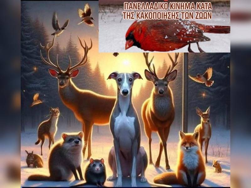 Κακοποίηση ζώων και ακτιβισμός - Η αδέσμευτη φωνή των τετράποδων