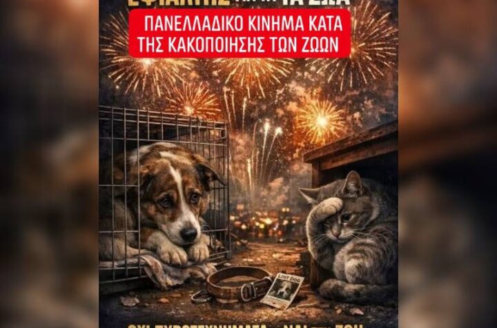 Κακοποίηση ζώων και ακτιβισμός - Η αδέσμευτη φωνή των τετράποδων