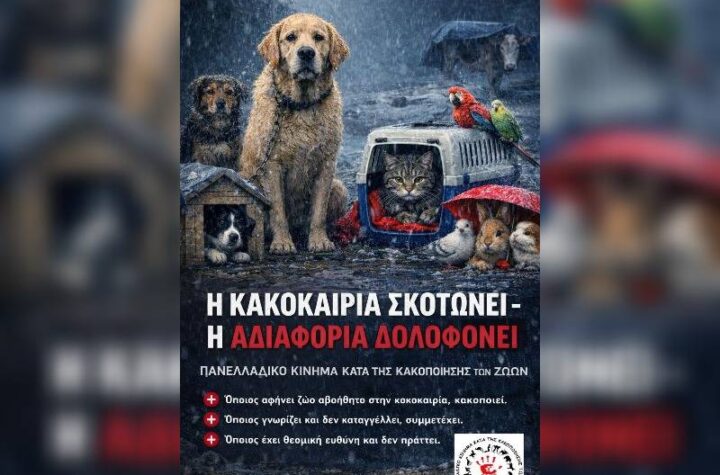 Κακοποίηση ζώων και ακτιβισμός - Η αδέσμευτη φωνή των τετράποδων