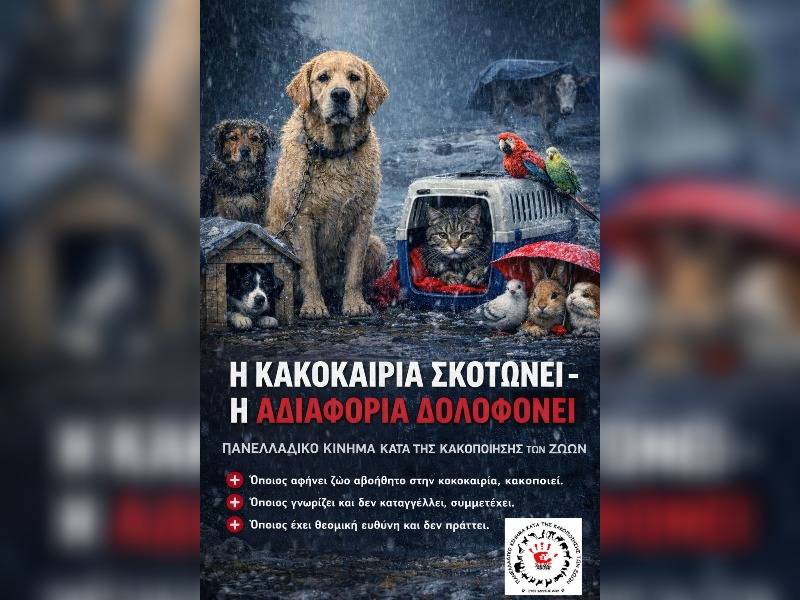 Κακοποίηση ζώων και ακτιβισμός - Η αδέσμευτη φωνή των τετράποδων