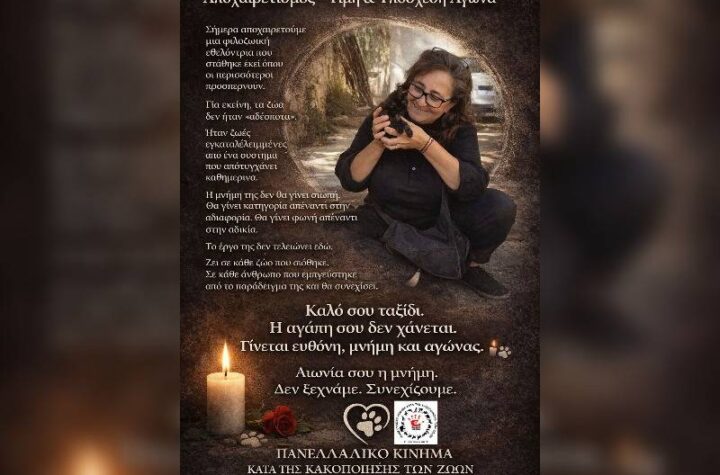 Κακοποίηση ζώων και ακτιβισμός - Η αδέσμευτη φωνή των τετράποδων