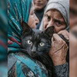 Κακοποίηση ζώων και ακτιβισμός - Η αδέσμευτη φωνή των τετράποδων