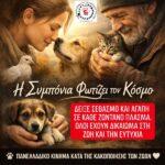 Κακοποίηση ζώων και ακτιβισμός - Η αδέσμευτη φωνή των τετράποδων