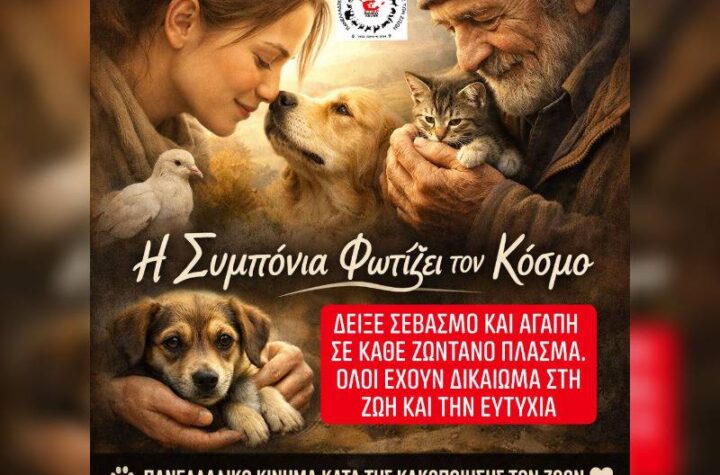 Κακοποίηση ζώων και ακτιβισμός - Η αδέσμευτη φωνή των τετράποδων