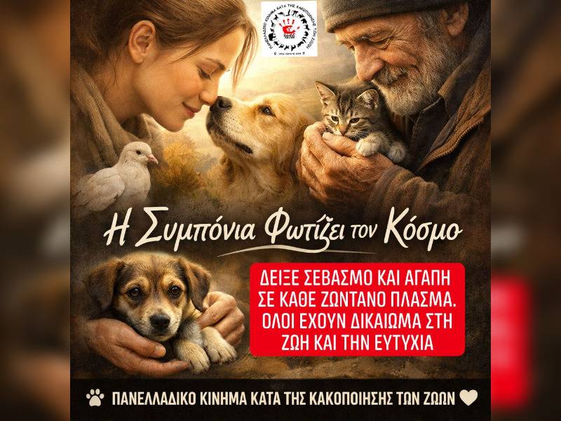 Κακοποίηση ζώων και ακτιβισμός - Η αδέσμευτη φωνή των τετράποδων