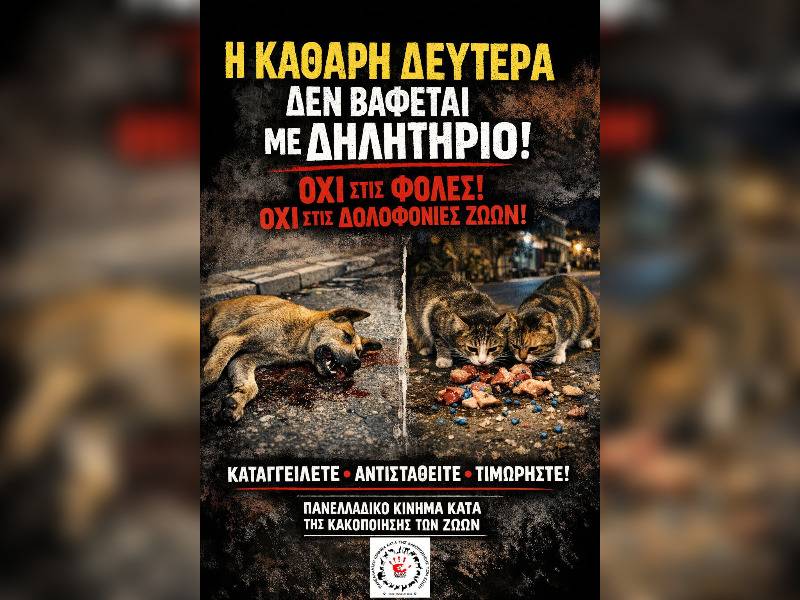 Κακοποίηση ζώων και ακτιβισμός - Η αδέσμευτη φωνή των τετράποδων