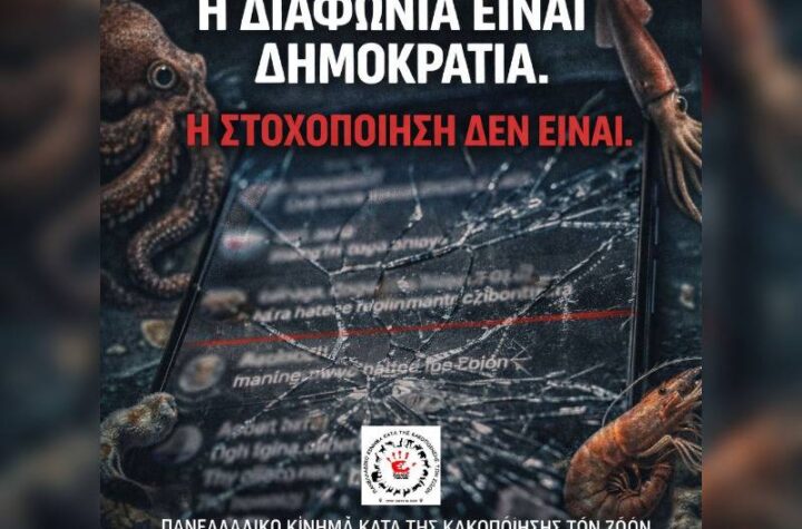 Κακοποίηση ζώων και ακτιβισμός - Η αδέσμευτη φωνή των τετράποδων