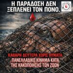 Κακοποίηση ζώων και ακτιβισμός - Η αδέσμευτη φωνή των τετράποδων