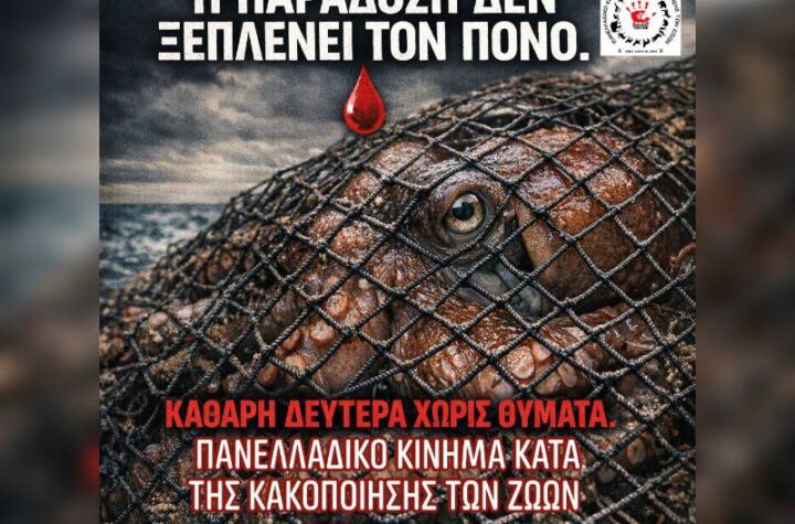 Κακοποίηση ζώων και ακτιβισμός - Η αδέσμευτη φωνή των τετράποδων