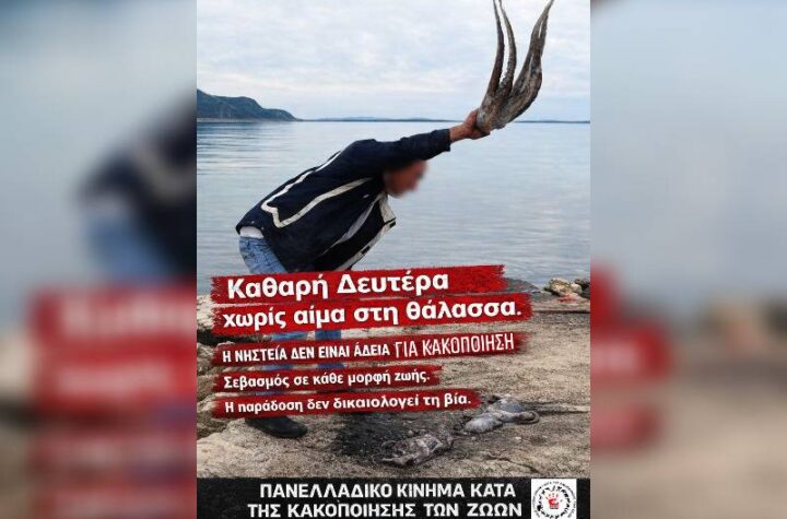 Κακοποίηση ζώων και ακτιβισμός - Η αδέσμευτη φωνή των τετράποδων