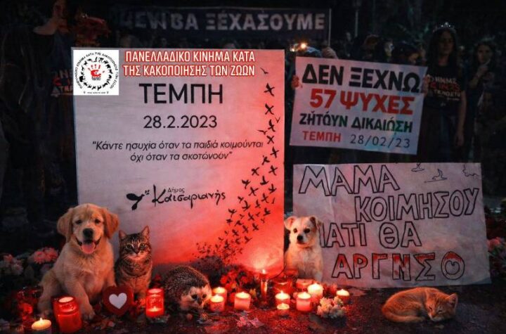 Κακοποίηση ζώων και ακτιβισμός - Η αδέσμευτη φωνή των τετράποδων