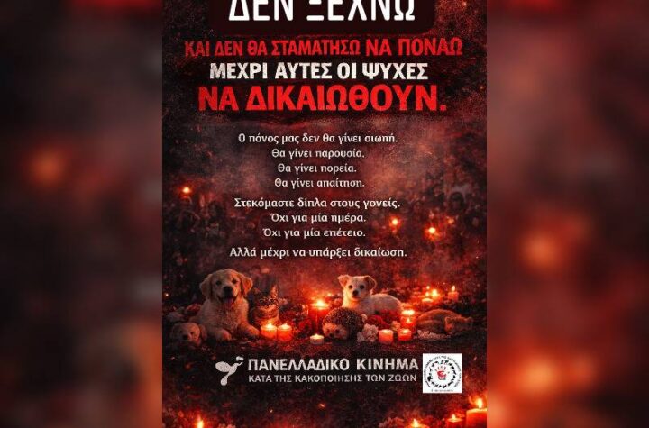 Κακοποίηση ζώων και ακτιβισμός - Η αδέσμευτη φωνή των τετράποδων