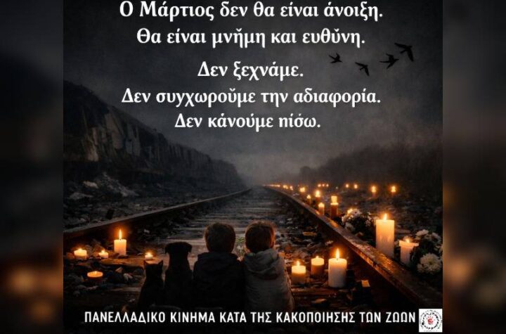 Κακοποίηση ζώων και ακτιβισμός - Η αδέσμευτη φωνή των τετράποδων