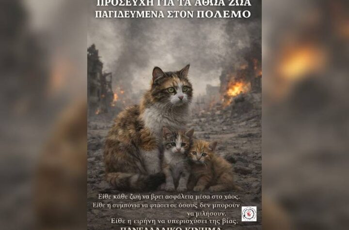 Κακοποίηση ζώων και ακτιβισμός - Η αδέσμευτη φωνή των τετράποδων