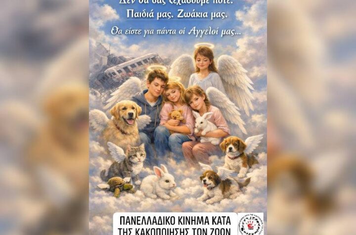 Κακοποίηση ζώων και ακτιβισμός - Η αδέσμευτη φωνή των τετράποδων