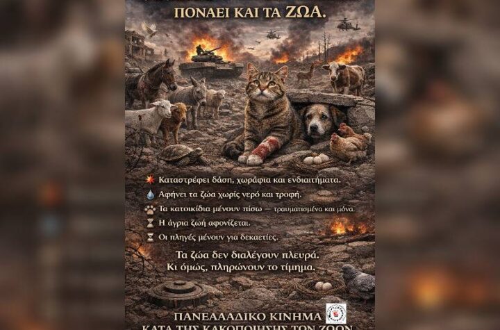 Κακοποίηση ζώων και ακτιβισμός - Η αδέσμευτη φωνή των τετράποδων