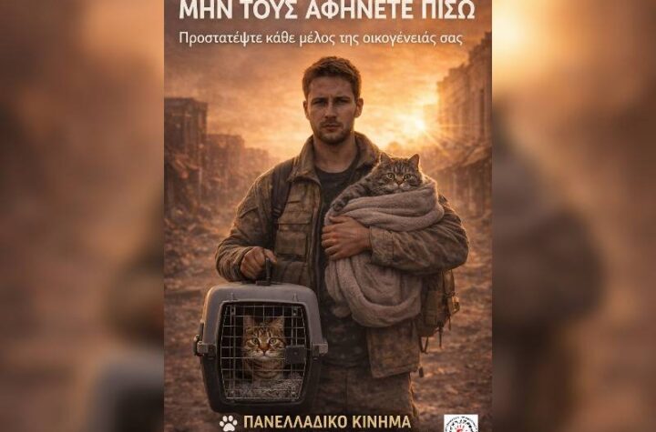 Κακοποίηση ζώων και ακτιβισμός - Η αδέσμευτη φωνή των τετράποδων