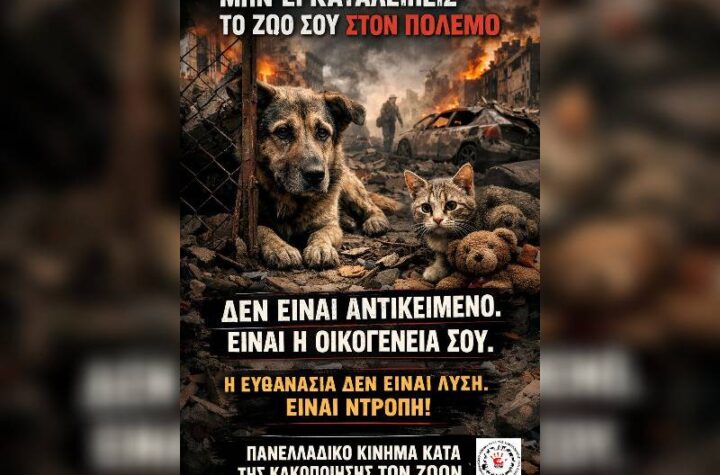 Κακοποίηση ζώων και ακτιβισμός - Η αδέσμευτη φωνή των τετράποδων