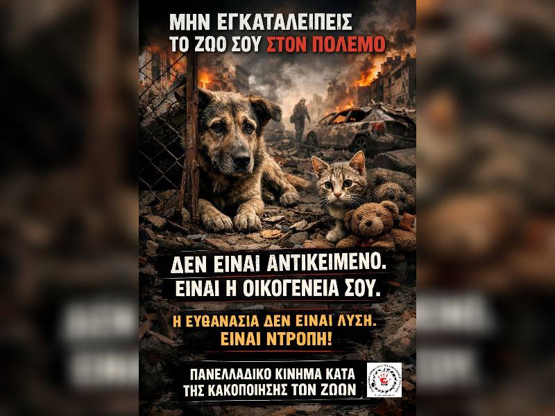 Κακοποίηση ζώων και ακτιβισμός - Η αδέσμευτη φωνή των τετράποδων