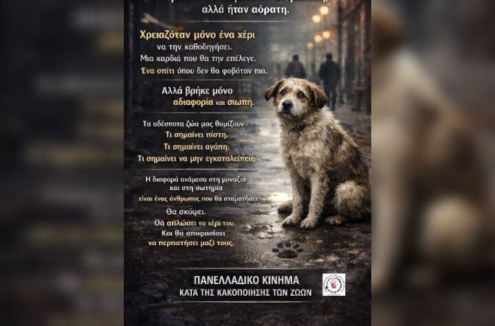 Κακοποίηση ζώων και ακτιβισμός - Η αδέσμευτη φωνή των τετράποδων