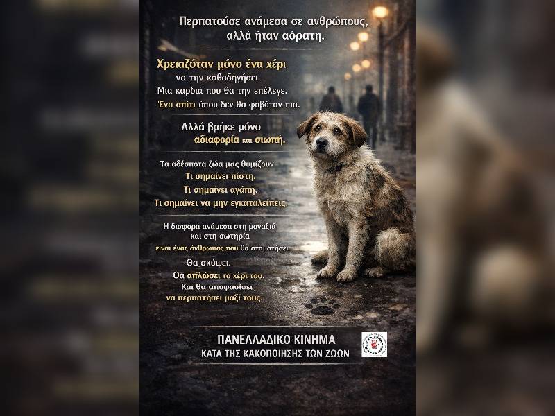 Κακοποίηση ζώων και ακτιβισμός - Η αδέσμευτη φωνή των τετράποδων