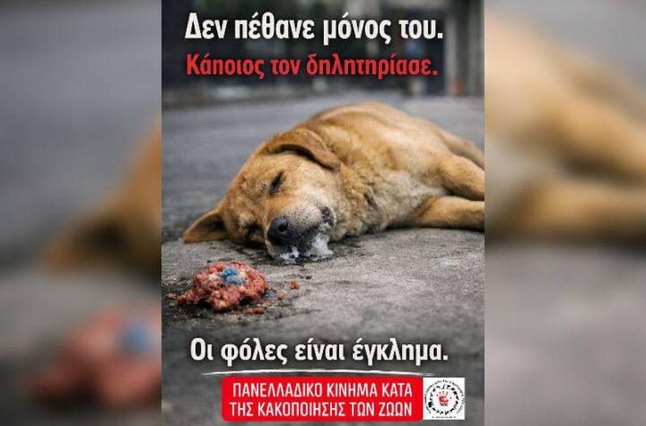 Κακοποίηση ζώων και ακτιβισμός - Η αδέσμευτη φωνή των τετράποδων